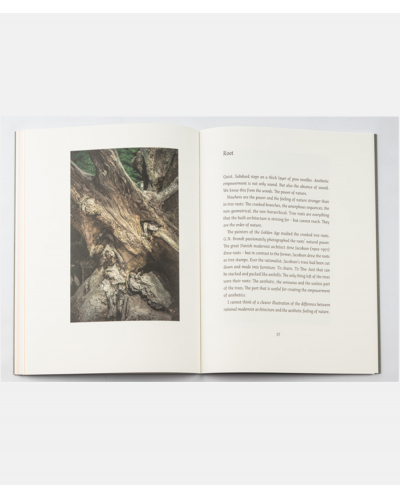 Empowerment of Aesthetics